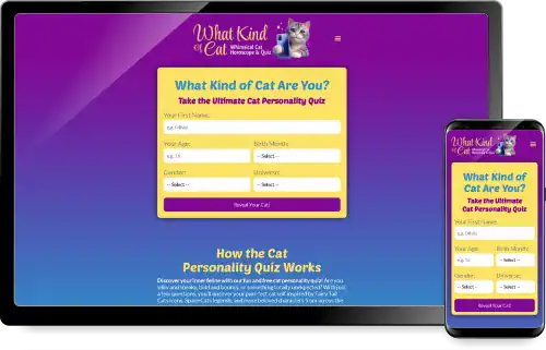 what kind of cat | Take the Ultimate Cat Personality Quiz